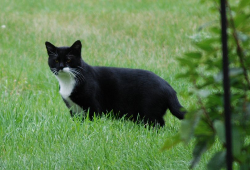 I loved him very much - Bootstrap - He is very
          much missed