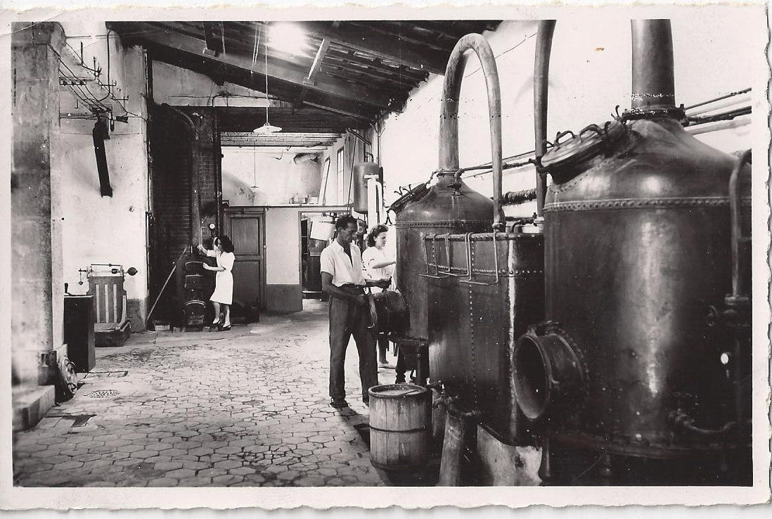1950's RPPC Cite
                                                des Parfums, Grasse
                                                France Perfume Fragrance
                                                laboratory