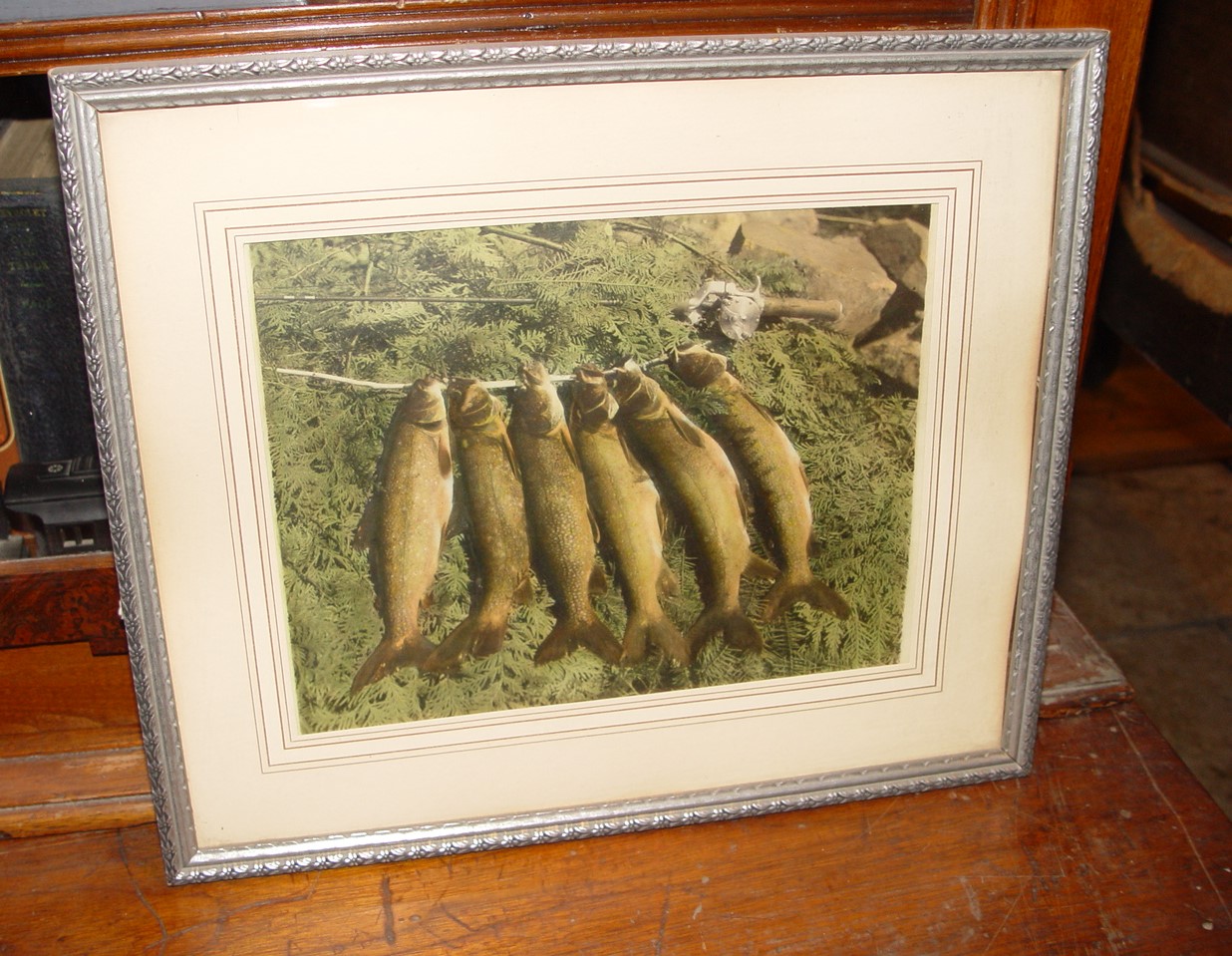 1920s Hand
                        Tinted Photograph, Catch of Trout Fish on Cedar
                        Boughs
