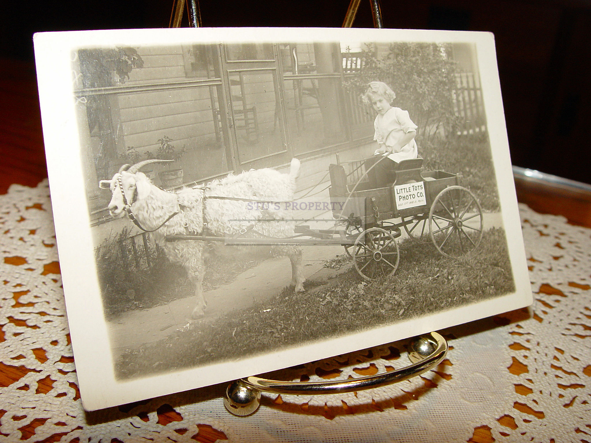 Victorian Era
                                                RPPC Little Tots Photo
                                                Co. Mpls. Girl in a Goat
                                                Buckboard Cart