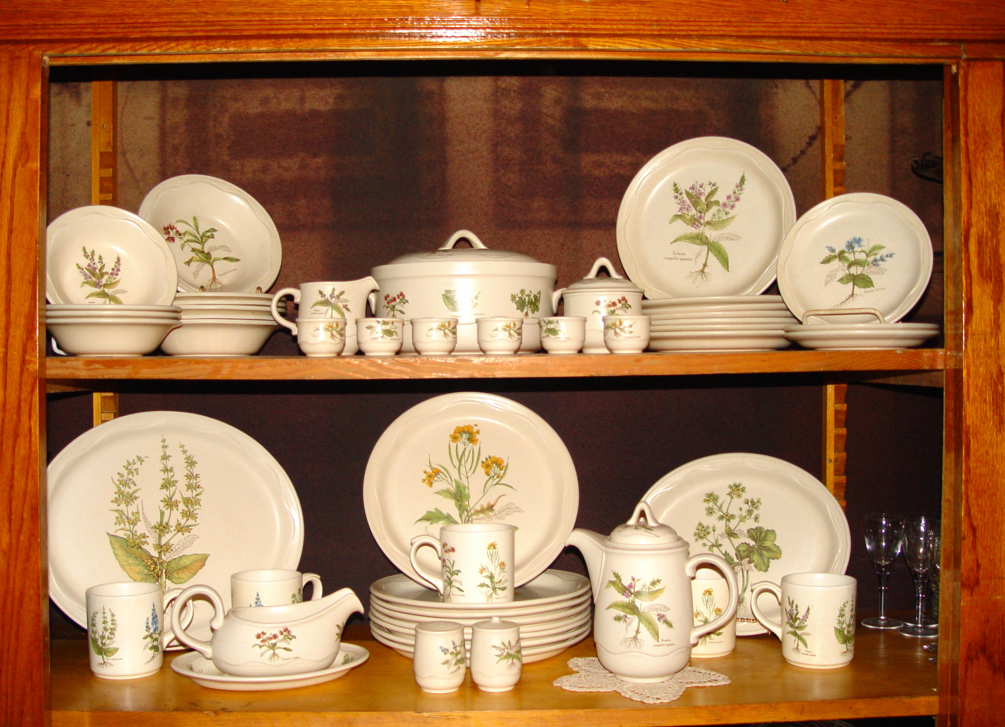 English 'Country Lane'
                                        Poole Pottery Botanical Garden
                                        Dinnerware 50 pc Set