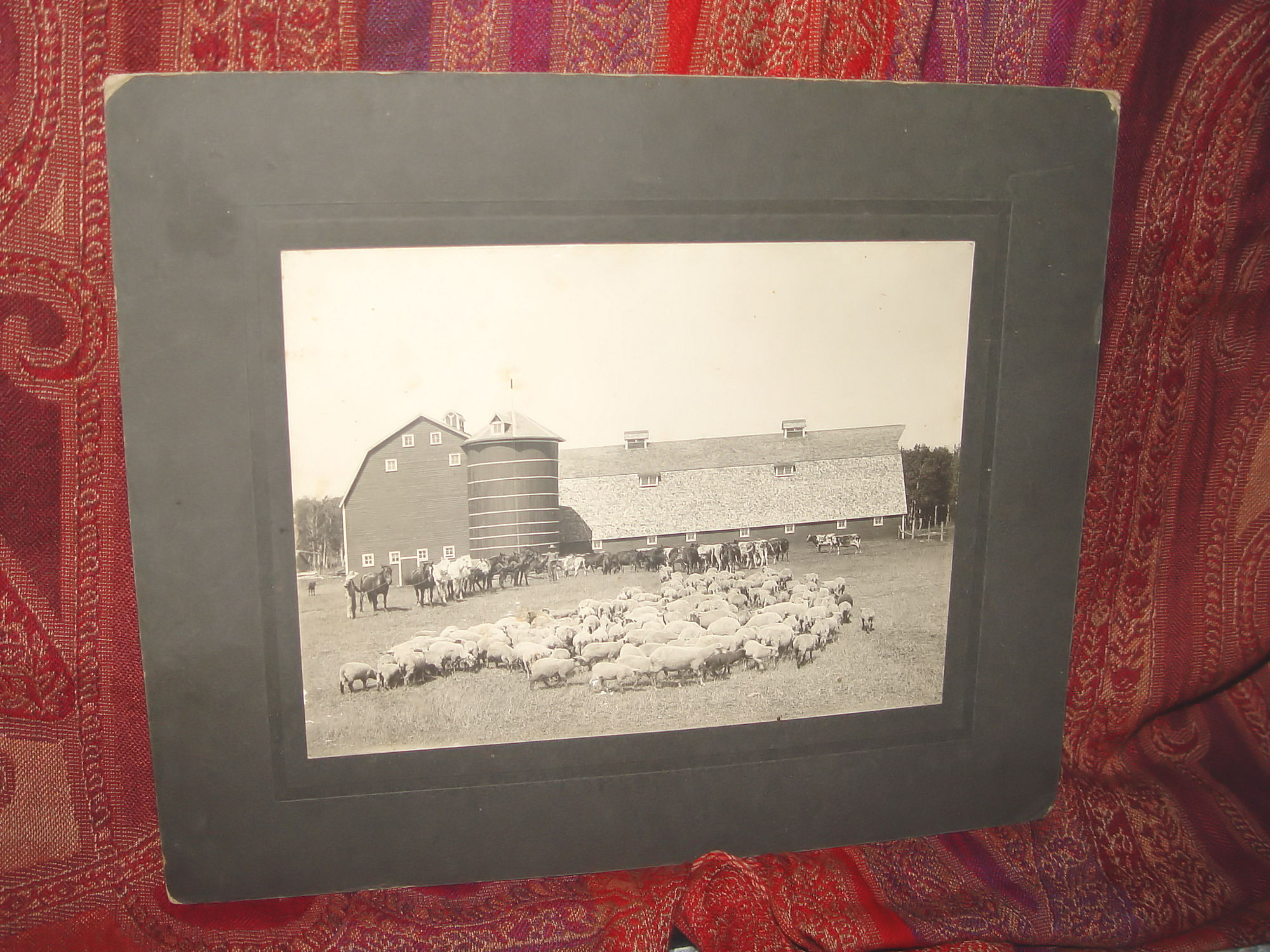 Carlson Farm in
                        Erskine, Mn - Antique Cabinet Photograph