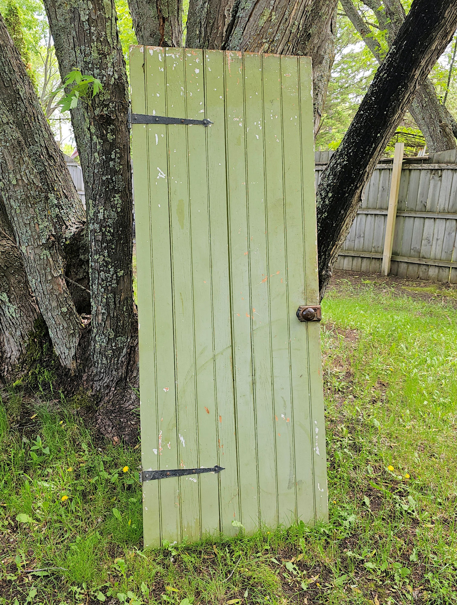 Vintage
                        Wooden Moss Green Beadboard Farmhouse Door