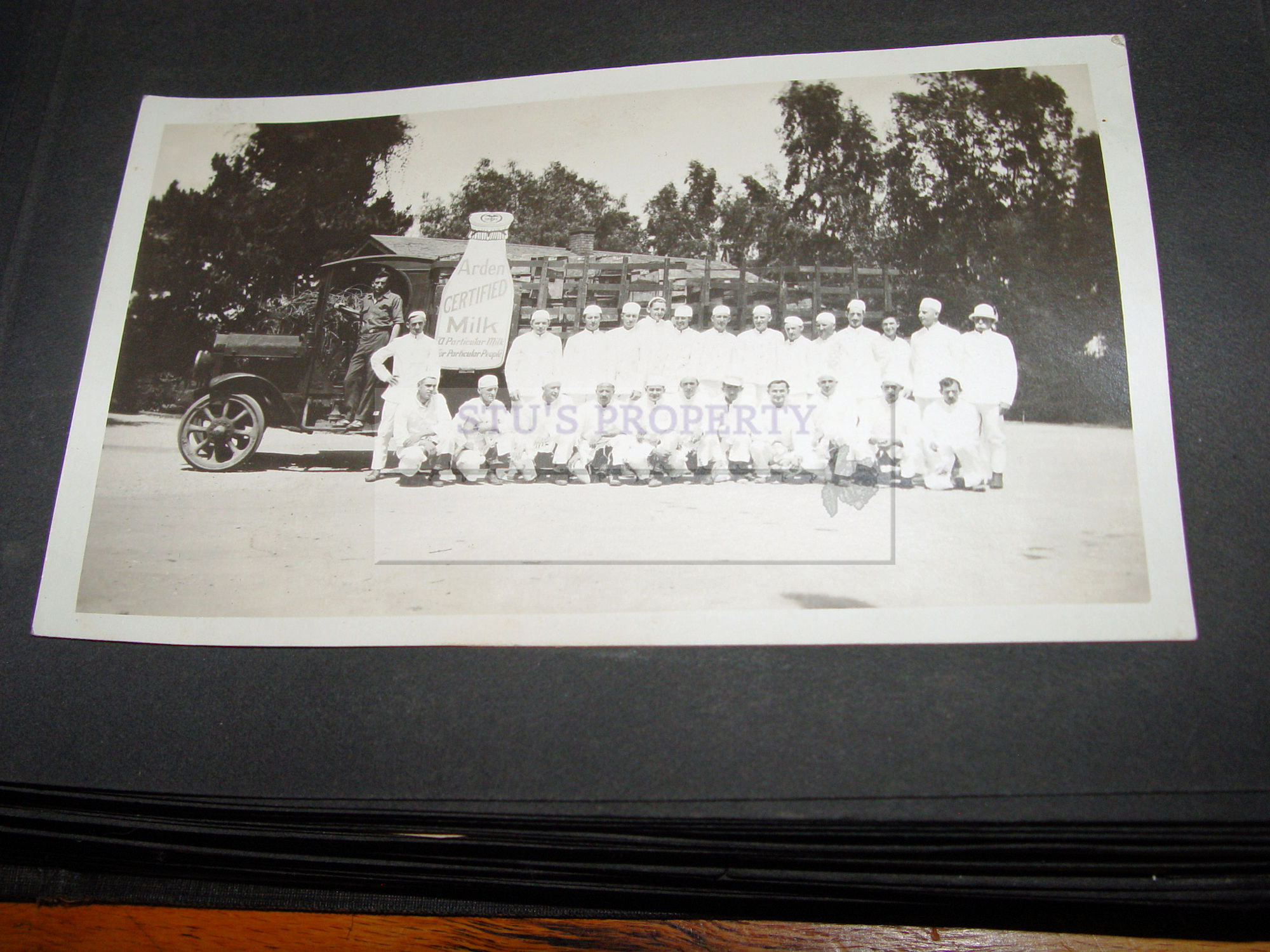 Photo Album
                        Dairy Milk Ardens, Airplane Crash, Family Vasa,
                        Minnesota