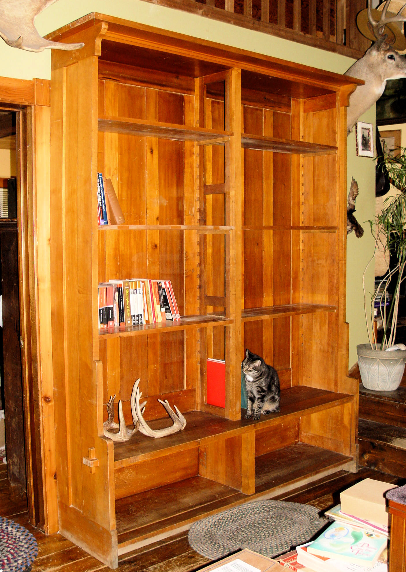 Large Antique
                        Maple Book Case from Iowa State College (ISU)