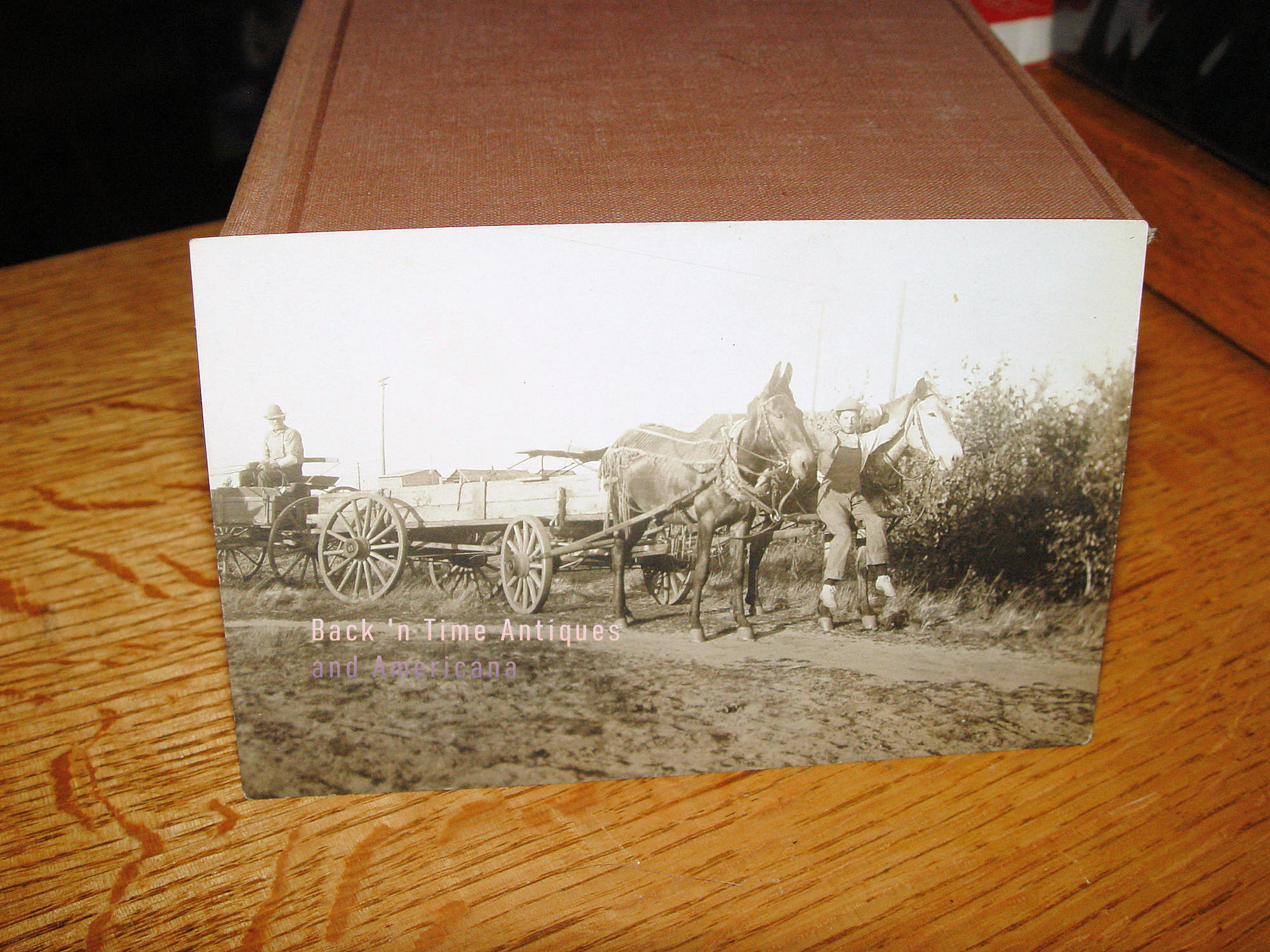 1900s Father
                                                and Son Farming,
                                                Buckboard, Horses RPPC