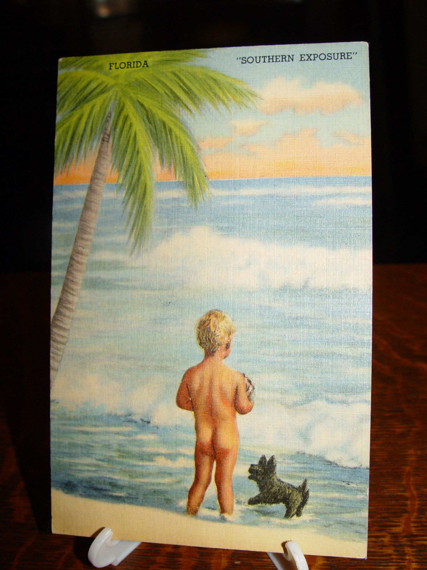 Vintage Florida
                                                Postcard 'Southern
                                                Exposure' Naked boy and
                                                Scotty Dog