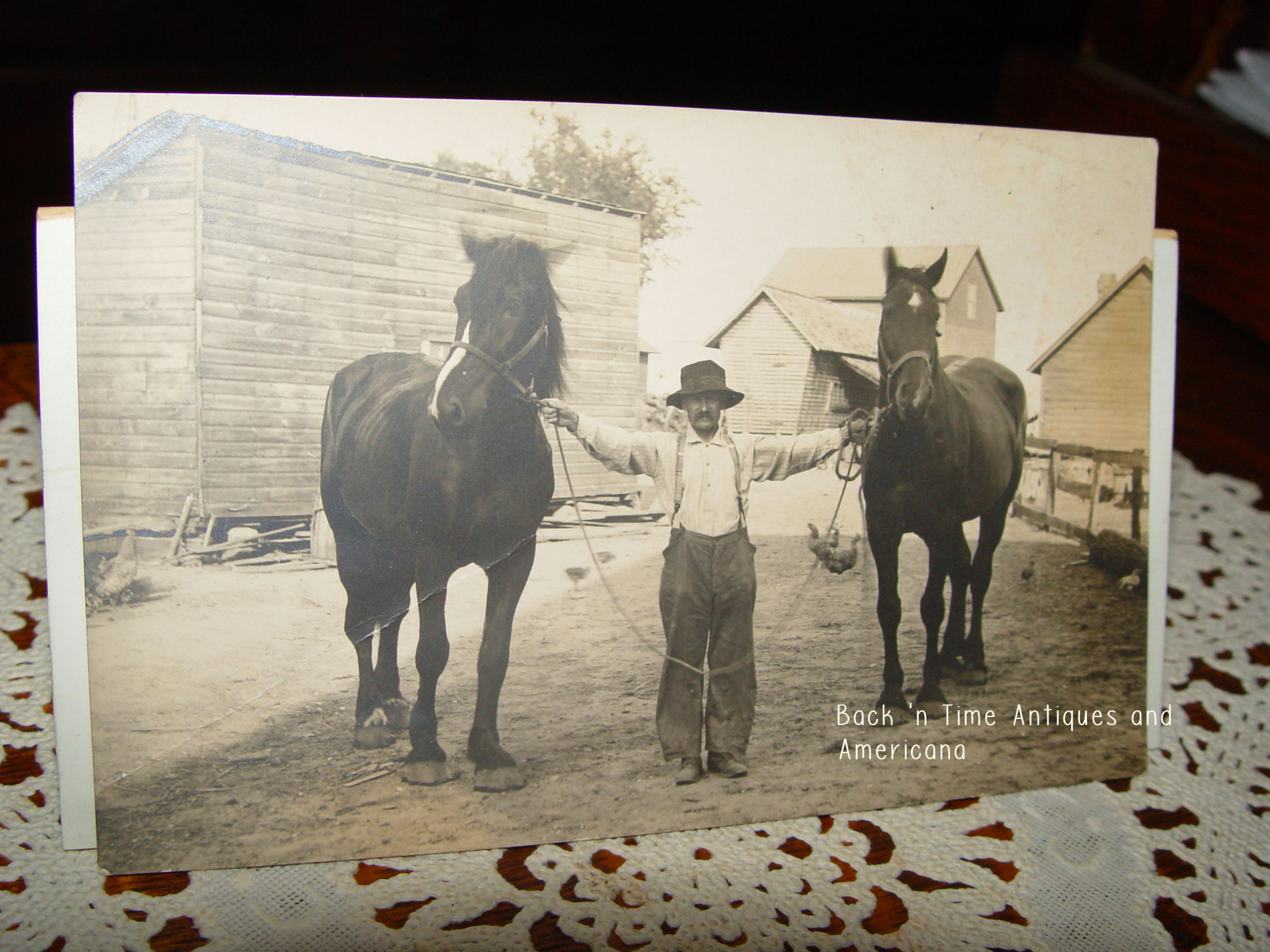 RPPC Ada
                                                Minnesota Farm, Man and
                                                His Prize Horses